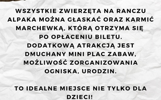 Pomysł na wycieczkę - Ranczo Alpaka