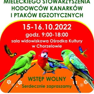 Jubileuszowy Pierzasty Weekend w Chorzelowie