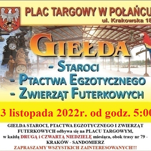 Giełda ptactwa i zwierząt futerkowych