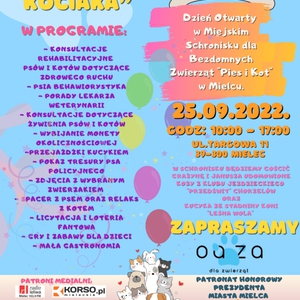 Dzień Otwarty Schroniska Bezdomnych Zwierząt „Pies i Kot”