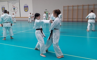 XII Ogólnopolski Turniej o Puchar Ziemi Mieleckiej Shorin-Ryu Karate