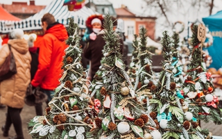 Jarmark Świąteczny w Mielcu - zdjęcia