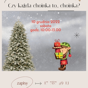 Czy każda choinka to choinka? – warsztaty