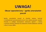UWAGA! Obszar zapowietrzony - zgnilec amerykański pszczół