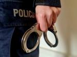 Sprawca licznych przestępstw zatrzymany przez mieleckich policjantów