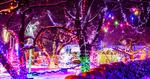 Partynia nie zawiodła. Ogród świateł znów imponował [FOTO]