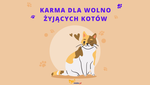 KARMA DLA WOLNO ŻYJĄCYCH KOTÓW