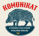 Mielec: Dziki nad Wisłoką