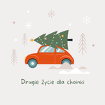 Poświąteczna zbiórka choinek - drugie życie dla choinki!