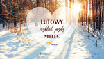 Kulturalny rozkład jazdy - miesiąc luty - Samorządowe Centrum Kultury w Mielcu