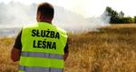 Ważny apel leśników z Mielca! Przeczytaj, zobacz WIDEO
