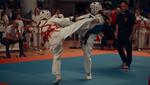 Ogólnopolski Turniej Karate Wings Cup 2024