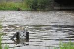 Biuro Prognoz Hydrologicznych w Krakowie wydało ostrzeżenie