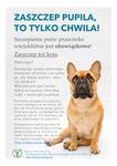 Wścieklizna - zachowajmy ostrożność!