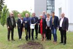 Wyjątkowy dąb dla uczczenia Dnia Samorządu Terytorialnego