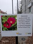 Mielec Kwitnie! Zrealizowaliśmy Projekt "Green City" z InPost