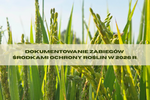 Dokumentowanie zabiegów środkami ochrony roślin w 2026 r. - bez zmian!