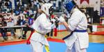 Ogólnopolski Turniej Karate Wings Cup w Mielcu - wyniki mieleckich zawodników - HEJ.MIELEC.PL