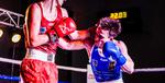 MSB Region Boxing Cup rośnie w siłę [FOTO] - HEJ.MIELEC.PL