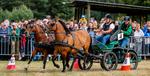 XVII Parada Konna w Żarówce już w niedzielę! - HEJ.MIELEC.PL