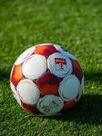 Walczyć trenować.... trening przed meczem z Podbeskidziem [foto] - FKS Stal Mielec SA