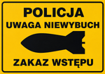 Policjanci zabezpieczali miejsce znalezienia niewybuchu w Dulczy Wielkiej