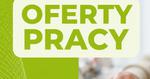 Oferty pracy Mielec. Firmy szukają pracowników